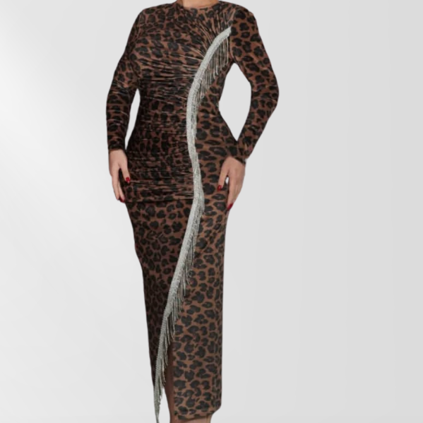 Animal Print Fashion Dress with Silver Fringe