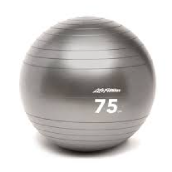 Gym Ball (75cm)